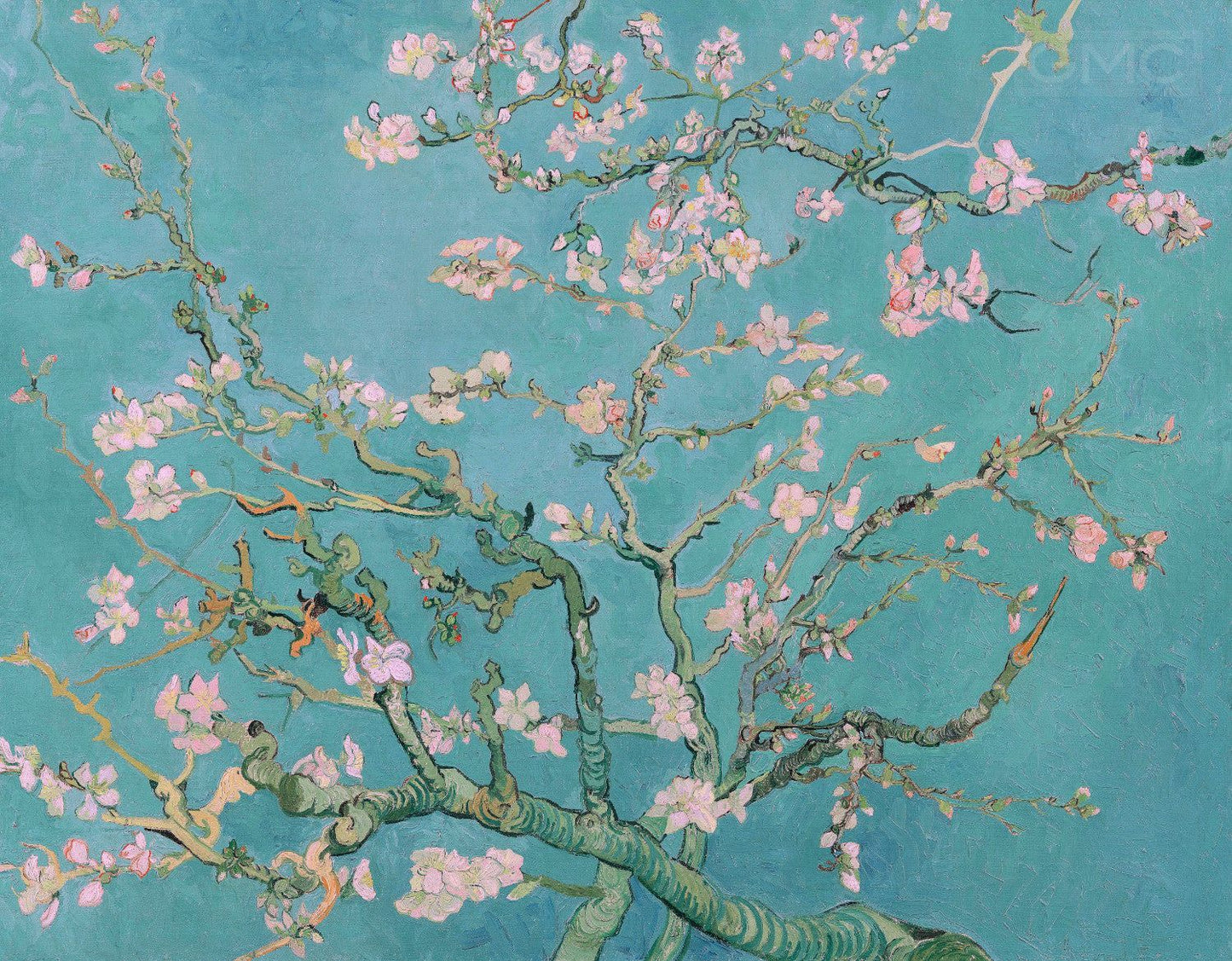 Almond Blossom