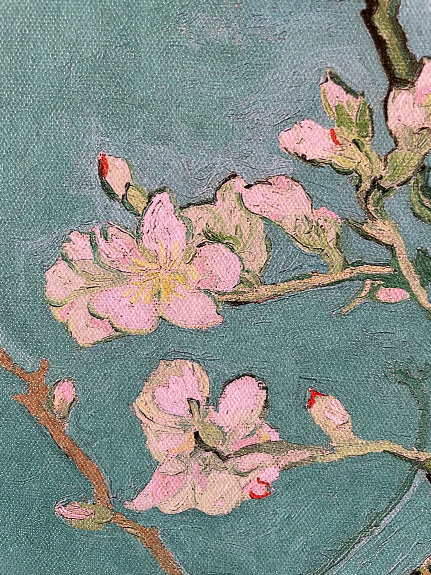 Almond Blossom