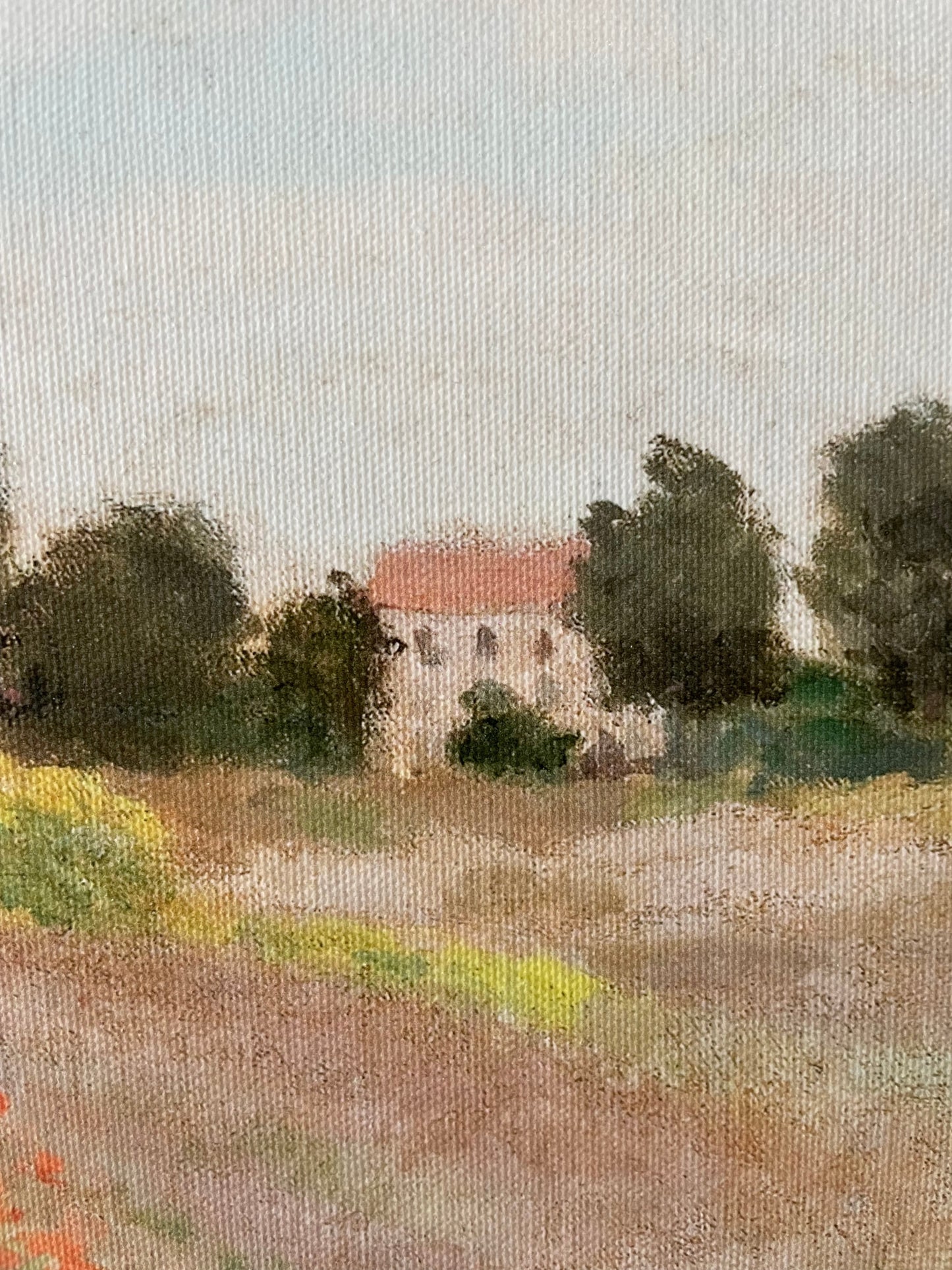 The Poppy Field near Argenteuil
