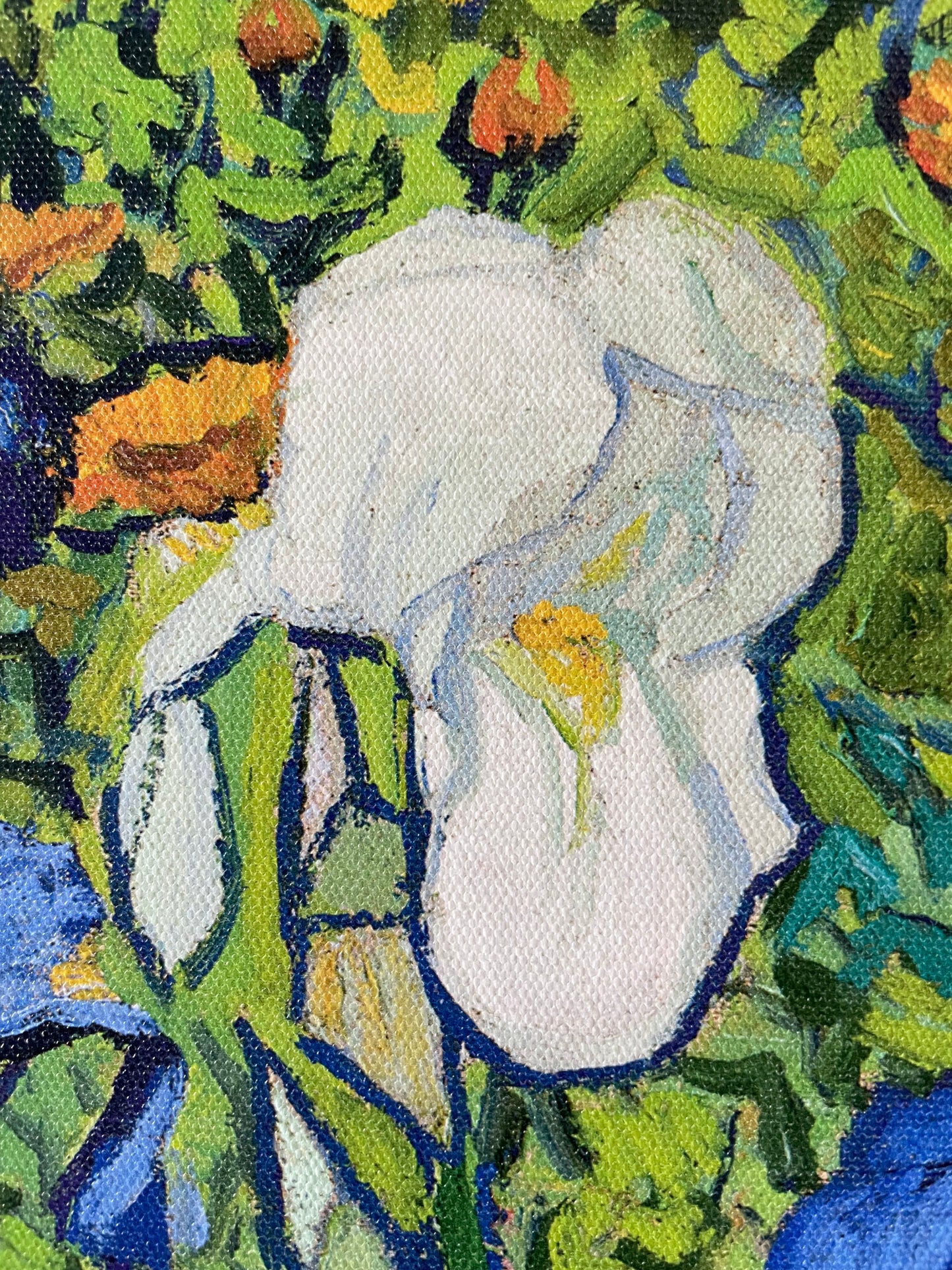 Irises