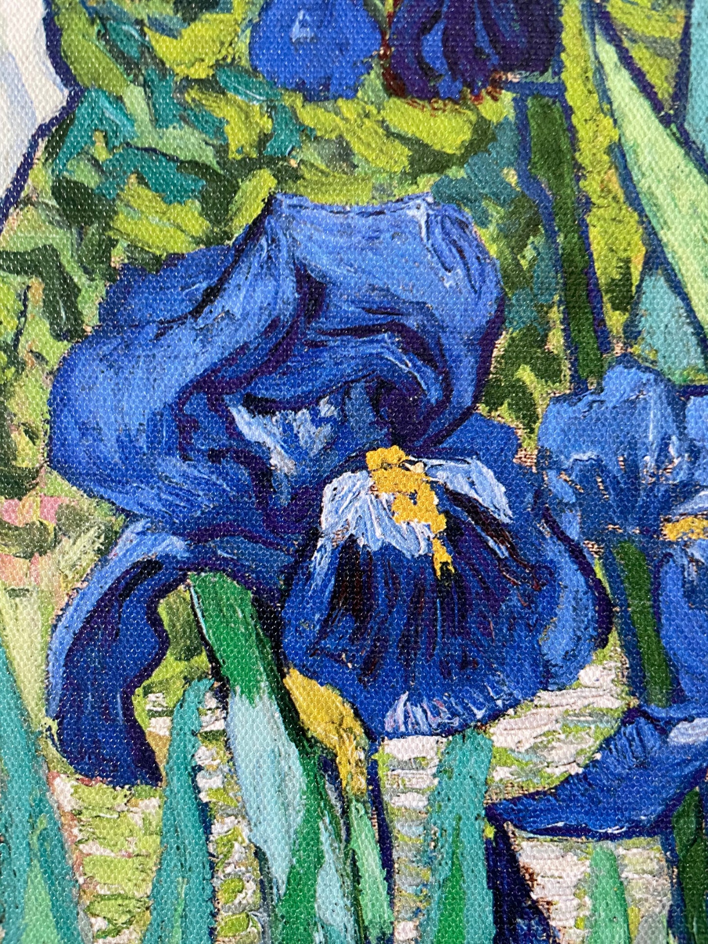 Irises