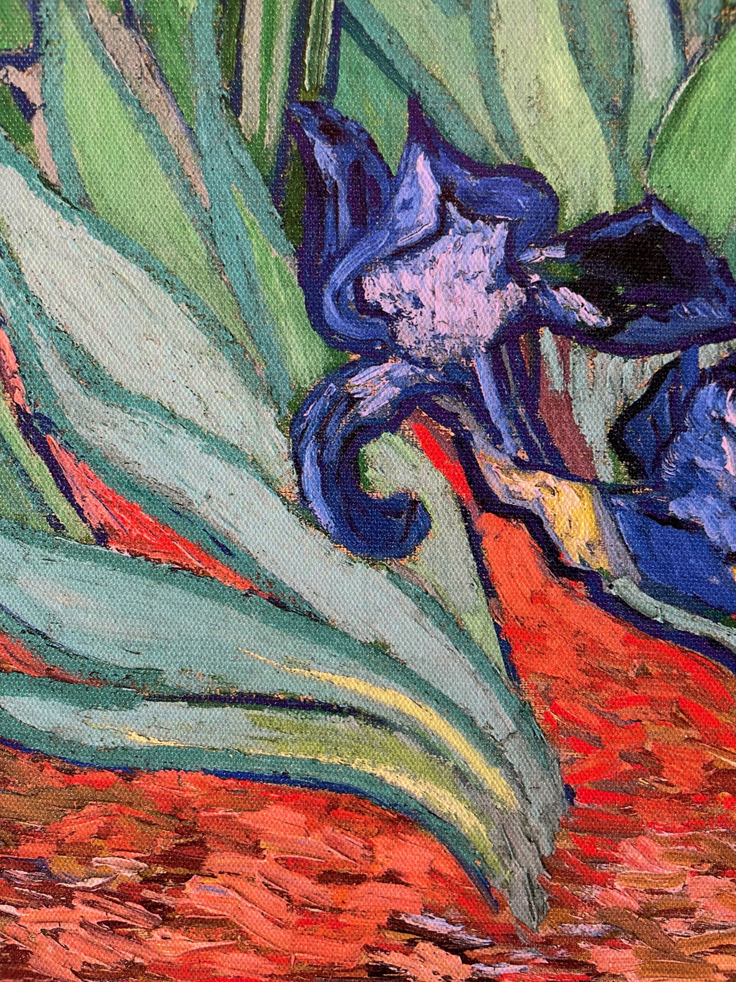 Irises