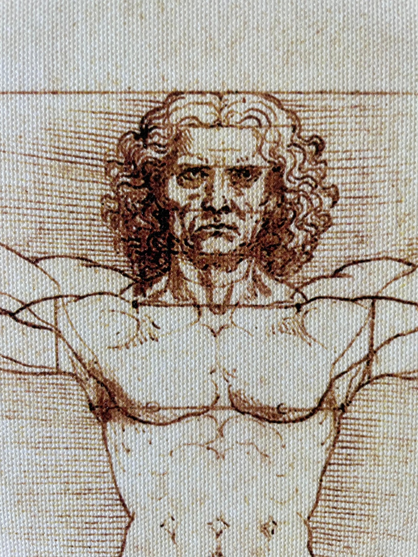 The Vitruvian Man